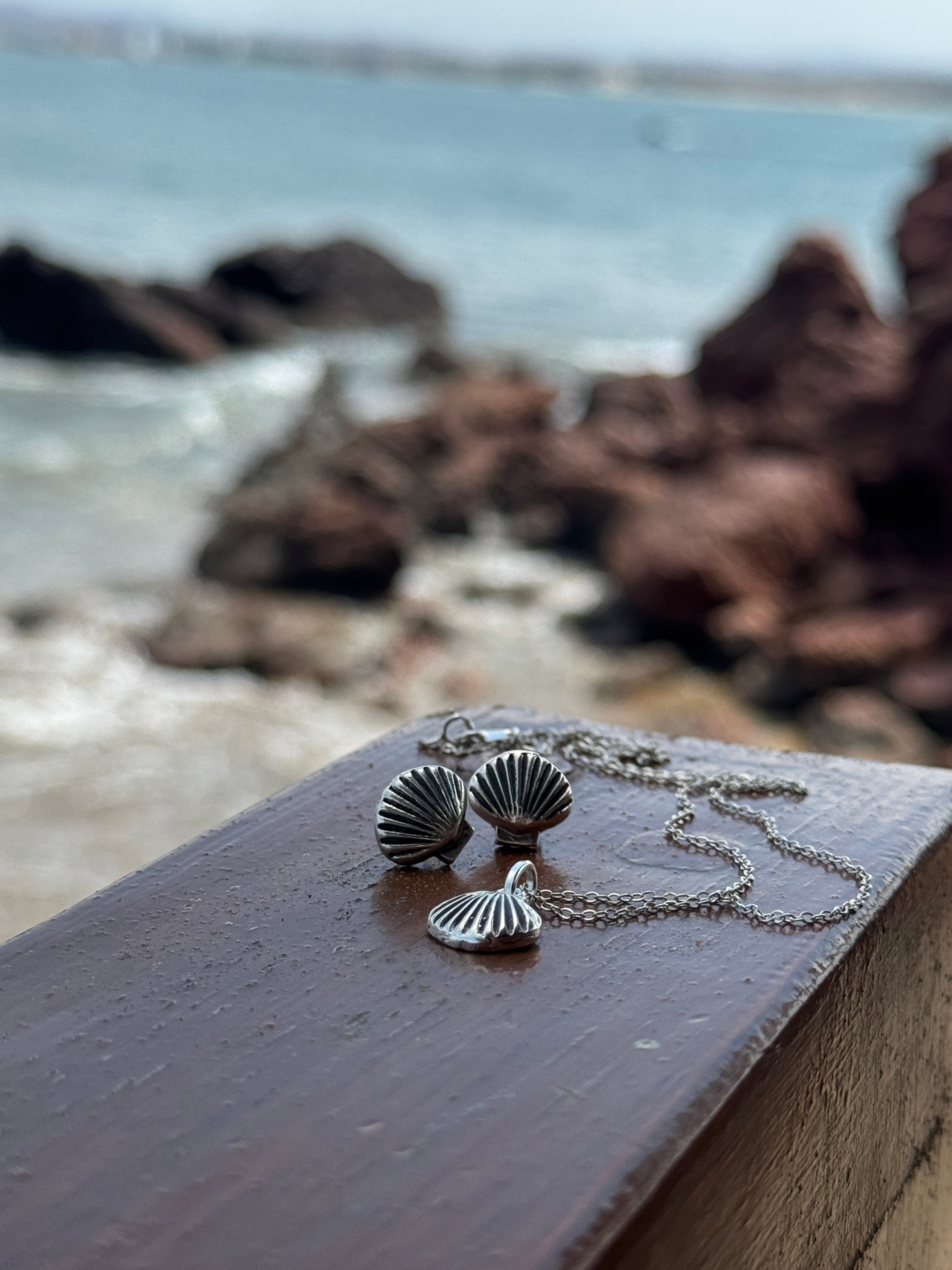 Set conchas de mar