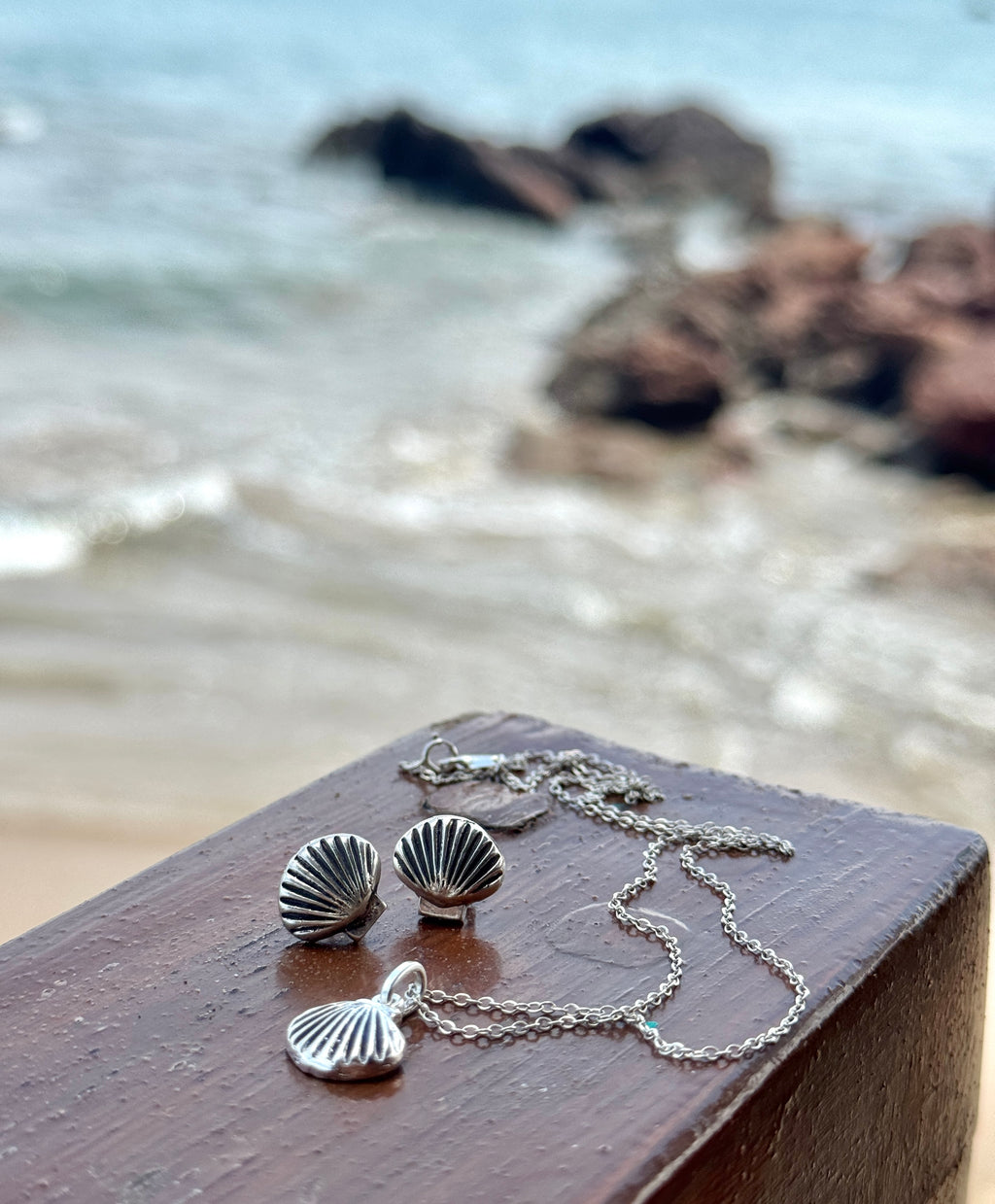 Set conchas de mar