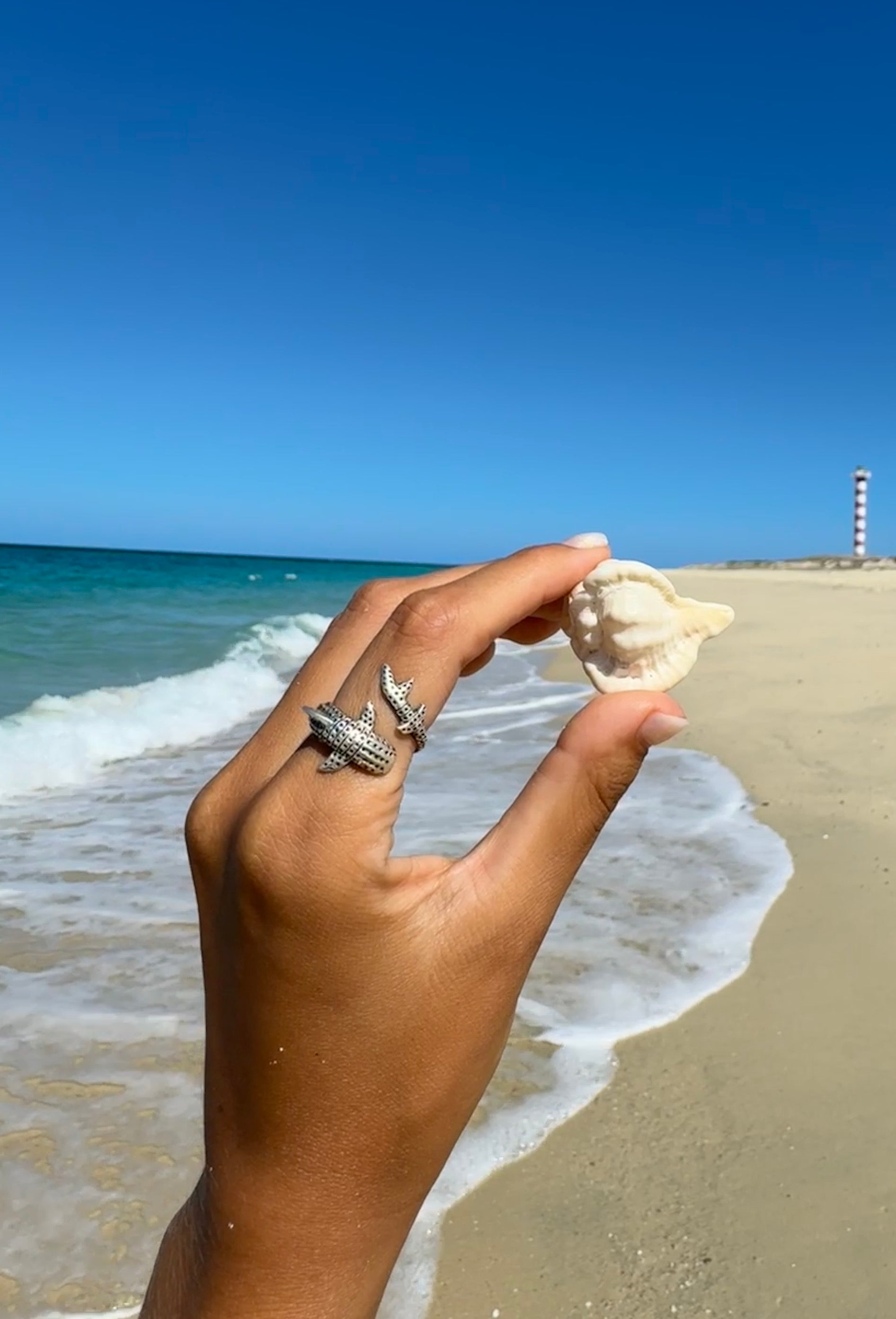 Anillo tiburón ballena