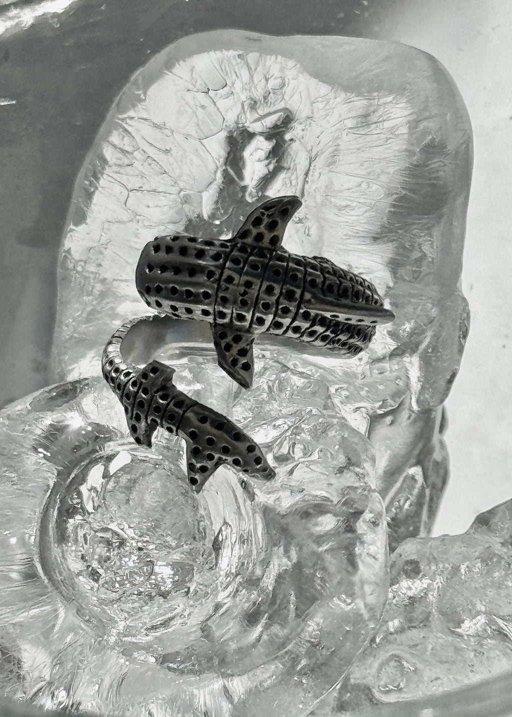 Anillo tiburón ballena